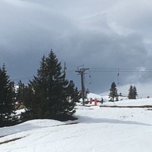 Palmes&oslash;ndag
Vi holder &aring;pent hver dag i p&aring;sken f.