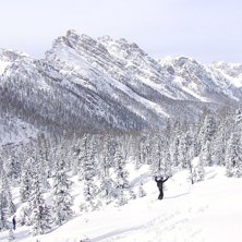 Cortinas offpist!. Foto: Bo Hellemar. &Aring;kare: Henrik Hellemar och Johan Pollack.