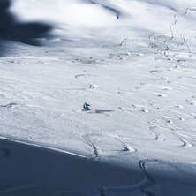Perrin &auml;r en d&aring;ldis men &auml;nd&aring; v&auml;lk&auml;nd. Trotts. Foto: Axel Adolfsson.