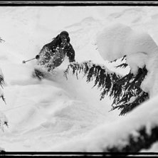 Full mutter i Roger.. Foto: Erik Pernestam (www.pernestam.se). &Aring;kare: Martin Olsson.