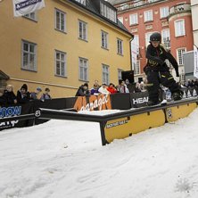 Winter Show i Kungstr&auml;dg&aring;rden 2014.. Foto: Hedda Berander.
