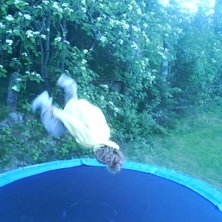 jag g&ouml;r backflip. Foto: andreas lennarsson.
