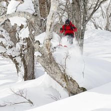 Foto: Olof Molin. &Aring;kare: Andreas Ojam&auml;e.