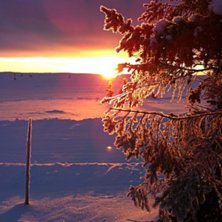 Heis g&aring;r l&oslash;rdager og s&oslash;ndager f&oslash;r jul
Vi kj&oslash;r.