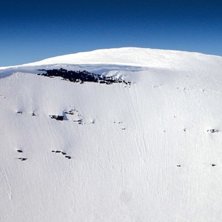 Foto: Bengt Hammari.