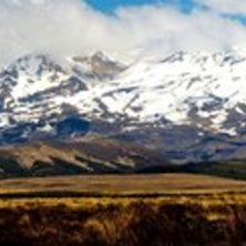 Blev lite skidsugen efter att jag sett dom h&auml;r be. Foto: Simon Pont&eacute;r.