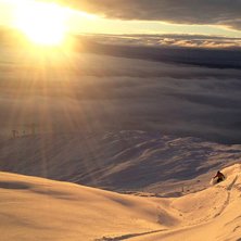 &Aring;re har sin dagar!. Foto: Alexandra Hafmar. &Aring;kare: Lawrence Dloski.