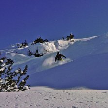 Foto: richie larsson. &Aring;kare: Emil Lisj&ouml;.