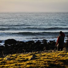 Foto: Christine Hargin.