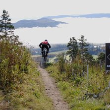 Foto: Janne Storf&auml;lt. &Aring;kare: Stojje.