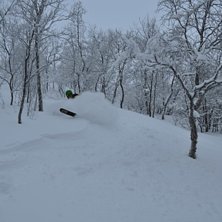 SN&Ouml;!. Foto: wiljelm jutteerstr&ouml;m. &Aring;kare: simon f&auml;lt.