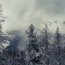 Foto: Albin Oskarsson.