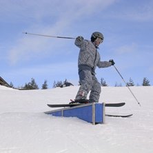 Railar. Foto: Micke Ericksson. &Aring;kare: Sebastian Liljedal.