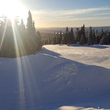 Lille juleaften
Sol &aring; str&aring;lende f&oslash;re i bakken i.