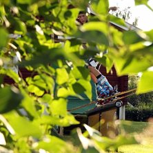 Foto: Jonas Tr&auml;g&aring;rdh. &Aring;kare: Jeppe Tr&auml;g&aring;rdh.