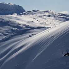 Det &auml;r inte varje dag man f&aring;r l&auml;gga f&ouml;rsta sp�. Foto: Robin Andersson. &Aring;kare: Albin Petterson Br&aring;the.