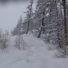 Foto: Alexander &Ouml;stlund. &Aring;kare: Anton Lif.