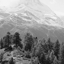 Foto: Mattias Fredriksson. &Aring;kare: Janne Tj&auml;rnstr&ouml;m.