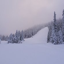 Kjempef&oslash;re! 
Nysn&oslash; og fantastiske forhold! .