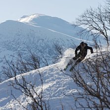 Foto: Erik Westberg. &Aring;kare: Andreas Hansson.