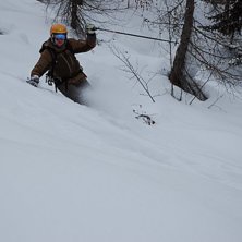 Fin dag i skogen i kr&auml;ksn&ouml;andet.. Foto: Daniel Sj&ouml;stedt. &Aring;kare: Daniel Albing.