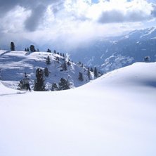 Foto: Frej Naimi-Akbar. &Aring;kare: Per Tetzell.