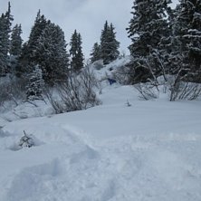 Fluff!!. Foto: Fredrik Selander. &Aring;kare: Tobias Rydberg.