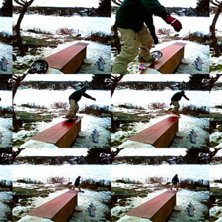 tagen med mobilen vid ett litet lunchsession i tr�. Foto: alex. &Aring;kare: jag.