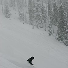 &Aring;kare: Ulf Sj&ouml;holm.