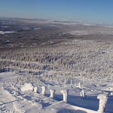Foto: Fredrik &Aring;kerblom.
