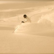 lite sk&ouml;n sepiak&auml;nsla. Foto: H&aring;kan Nilsson. &Aring;kare: P&auml;r sundqvist.