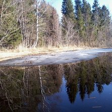 Roing i &auml;lvdeldat. Foto: ian Archibald.