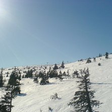 Lindvallen/Högfjället Foto