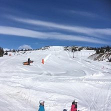 Garantert &aring;pent i p&aring;sken p&aring; 1001 Storefjell
Her.