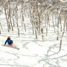 Foto: Christer H&auml;llare. &Aring;kare: Mario Marinkovic.