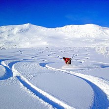Nyfallen sn&ouml;, tv&aring; veckor efter ny&aring;r, kunde l&auml;g. Foto: peter nordin. &Aring;kare: camilla waara.