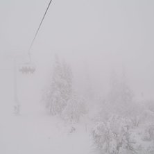 vafan lite dimma har ingen d&ouml;tt av, tror jag. Foto: stellig&ouml;rl. &Aring;kare: grabbs.