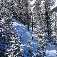 Foto: Erik Ramnelius. &Aring;kare: Robin Andersson.