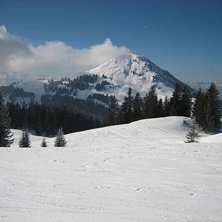 Foto: Johan Lindqvist.