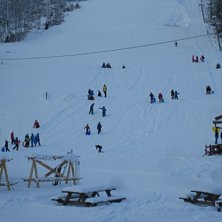 Aktiviteter fra skolen!

Et yrende liv i alpinbak.