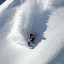 Signatur sv&auml;ng. Foto: Martin S&ouml;derqvist. &Aring;kare: Reine Barkered.