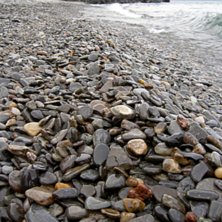 Emma &aring; Anna p&aring; den &aring;rliga stenplockar rundan vi. Foto: Emma Karvonen.