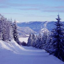 Photoshoppad av en polare:).