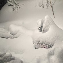 Da ble det jul
Vi m&aring;tte dessverre holde stengt ju.