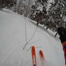 Salomon QST 106 Foto