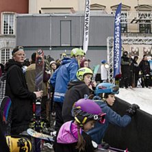 Winter Show i Kungstr&auml;dg&aring;rden 2014.. Foto: Hedda Berander.