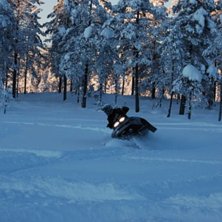 grymt h&auml;rlig dag i grymt mycket puder !. Foto: t.