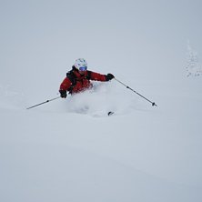 Foto: Viktor Karlsson. &Aring;kare: Therese Holmstr&ouml;m.