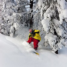 Foto: Joakim Carlstr&ouml;m. &Aring;kare: Patrik Gunnarsson.