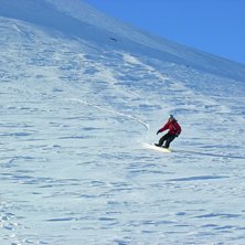 De va n&aring;gra goa sv&auml;ngar de d&auml;r. Foto: Anders Martinsson. &Aring;kare: Robert Arrhenius.
